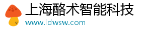 上海酪术智能科技