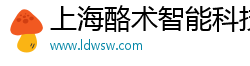 上海酪术智能科技